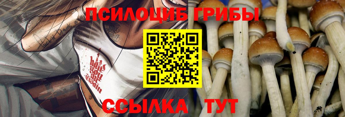 Галлюциногенные грибы мицелий  Вход с VPN  Дагестанские Огни 
